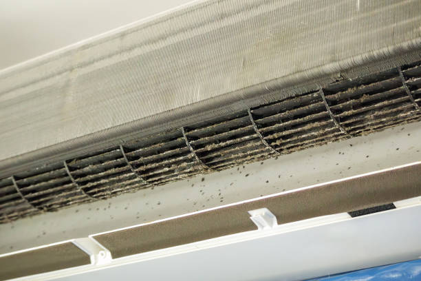 Best Air Duct Cleaning Near Me  in Forestdale, MA